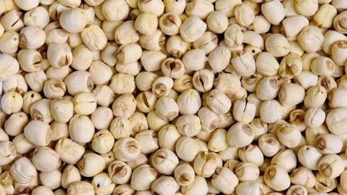 Organic Lotus Seeds, Color : Cream, Grade Standard : Fruits Grade