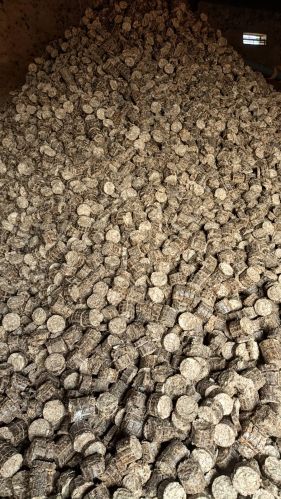 Hard Common Swastik Sheesham Wood Bio Mass Briquettes, Shape : Square