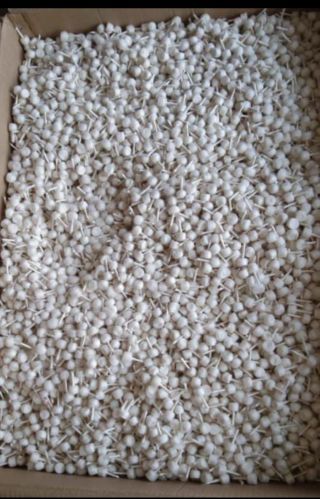 Cotton wicks Natural, Packaging Type : Natural-white