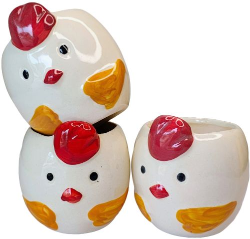 F097-F105 Ceramic Flower POT