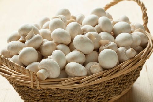 Button Mushroom, Packaging Size : 5Kg, 10Kg, 20Kg, 25Kg, 50Kg