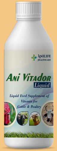 Multivitamin Liquid, Packaging Type : Plastic Bottle