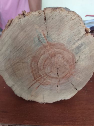 White Sandal Wood, Purity : 100% Natural, Premium Grade