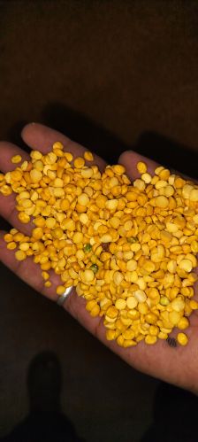 Matar besan, Brand Name : Shyamlahar, Packaging Type : 35kg