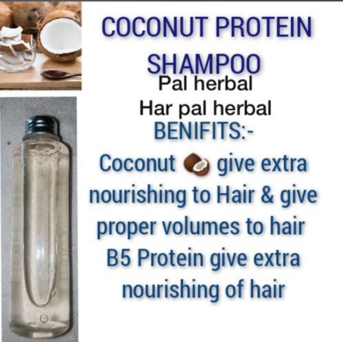 Herbal Coconut Protein Shampoo, Color : Transparent, Form : Liquid