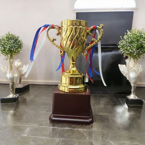 Polished Metal Q34 Gold Award Trophy, Color : Golden