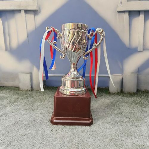 Polished Metal Q34 Silver Award Trophy, Shape : Customized