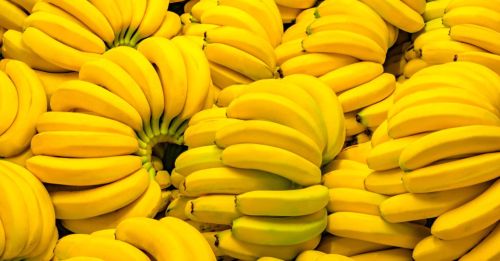 Fresh Yellow Banana, Packaging Type : Carton for Human Consumption