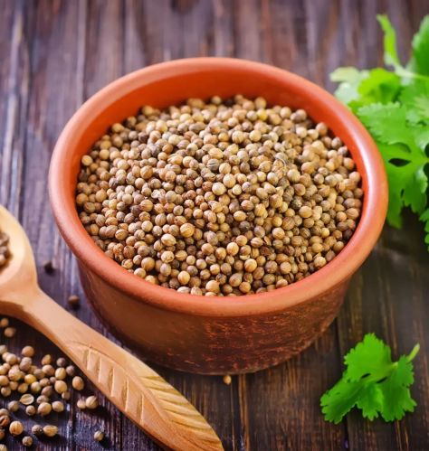 Coriander Seeds, Packaging Size : 5-25kg