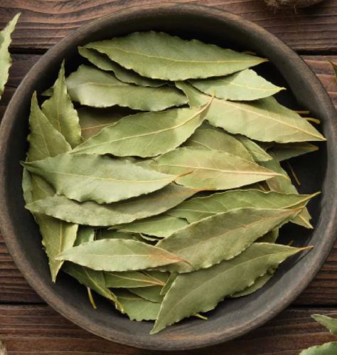 Organic Dry Bay Leaf, Color : Green, Packaging Type : Plastic Bag