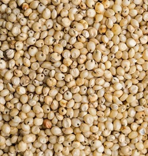 Jowar Seeds, Color : Creamy, Packaging Type : HDPE Bag