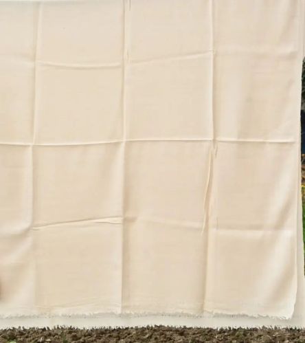 Plain Pure Kashmiri Pashmina Shawl Casual Wear