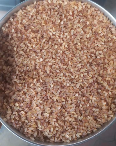 Tharva Palakkadan Matta, Color : Brown, Variety : Short Grain