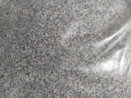 Rice Husk Ash, Packaging Type : BLACK WHITE