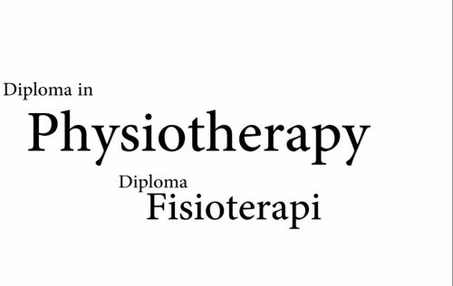 Diploma in Physiotherapy - DPT
