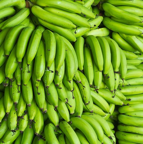 Organic Fresh Green Banana, Packaging Size : 5-25kg for Cooking
