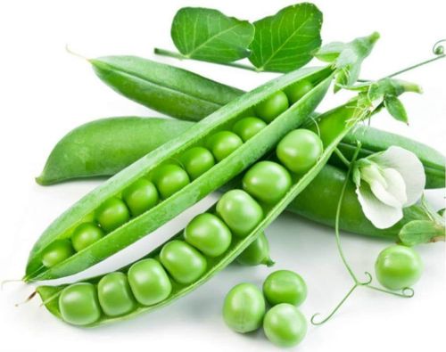 155 Pea Seed, Color : Green