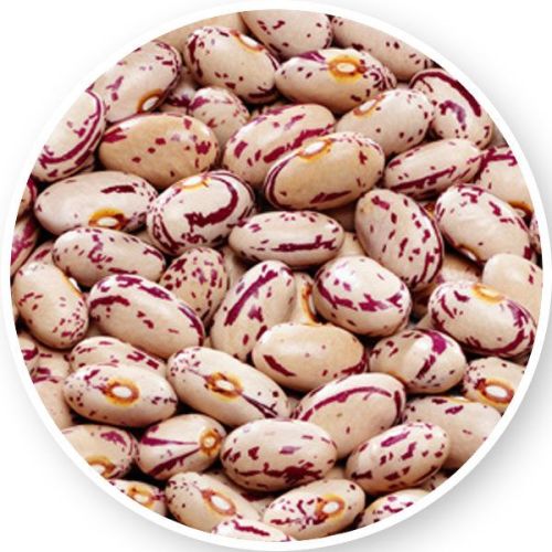 OEM Natural light speckled kidney beans, Packaging Size : 50Kg