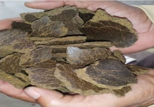 Turvi Natural Mustard Oil Cake, Packaging Size : 45kgs