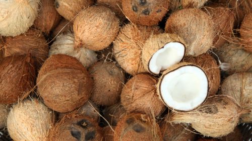 Whole Brown Coconut, Packaging Type : Corrugated Box