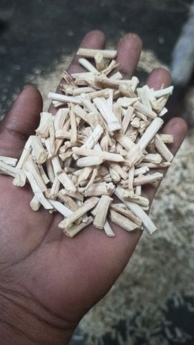 Organic White Shatavari Roots, Form : Dried