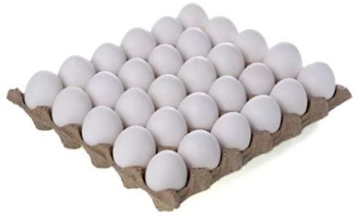 Egg, Packaging Type : Tray for Human Consumption