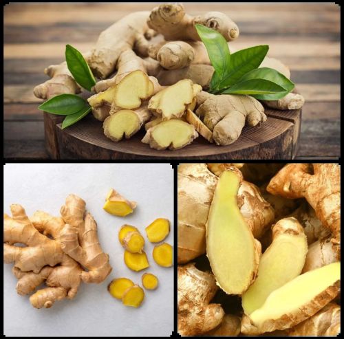 Raw Fresh Ginger, Packaging Size : 5-18kg