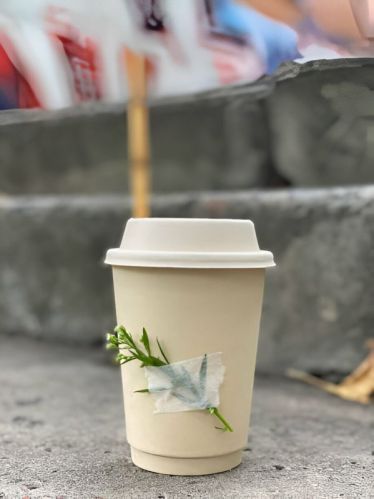 Neo Cane Naturel Bagasse Disposable Glass, Color : White Multisize