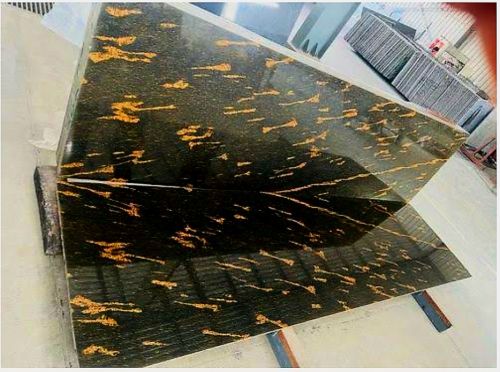 Polished Fish Gold Granite, Color : Light Yellow 8×3ft