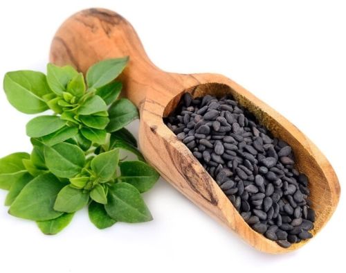 Natural basil seeds, Shape : Granule, Packaging Type : Black