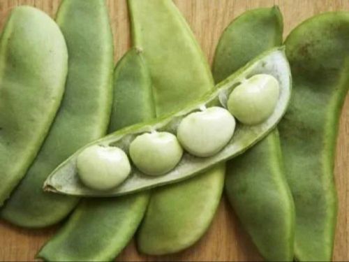 Natural Fresh Hyacinth Bean, Color : Green for Cooking Use