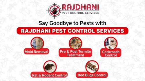 Pest control services