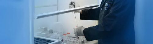 Carbon Testing Services