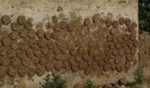 Cow dung cake, Packaging Size : 5 Kg, Packaging Type : Brown