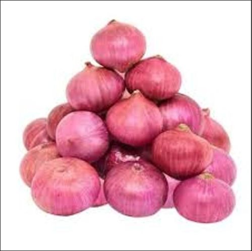 Onions, Cultivation Type : Natural Red