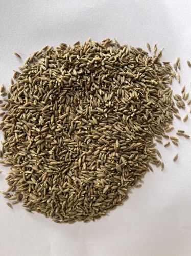 Natural Bhagwati crops cumin seed, Packaging Size : 1Kg, 5Kg, 20Kg