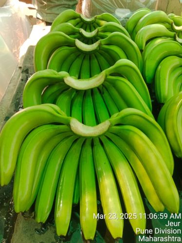 Bananas, Country of Origin : India