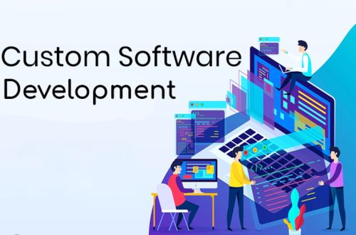 Custom software development
