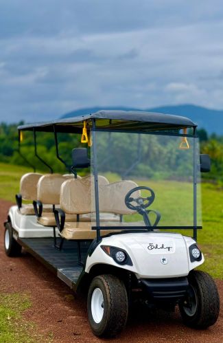 Color Coated Golf Buggy, Color : White, Seating Capacity : 6-8 Seat