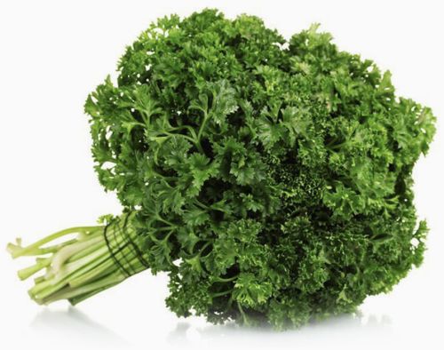 Natural Parsley Leaves, Color : Deep Green