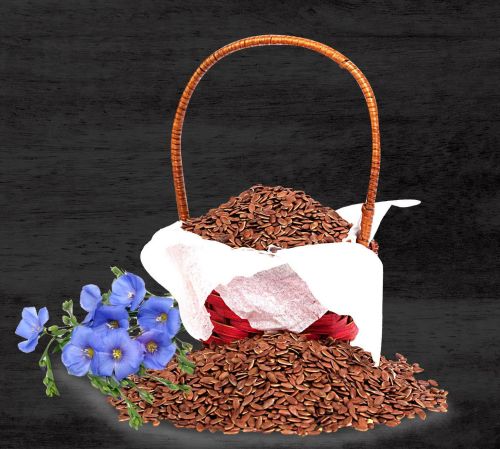 Food Grade Flax Seeds, Packaging Size : 25-50kg 9%