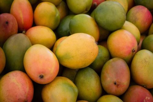 Common Fresh Mangoes, Color : Yellow, Packaging Size : 20Kg