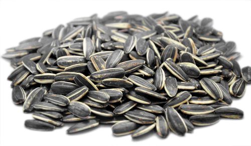 Organic Sunflower Seeds, Color : Black, Packaging Size : 10kg