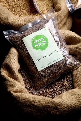 Black Wheat — 1kg