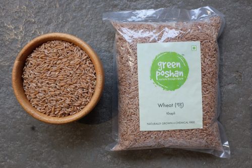 Khapli Wheat — 1kg