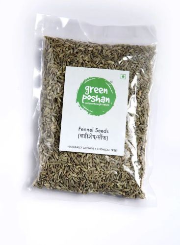 Saunf (Fennel Seeds) — 100g, Color : Natural