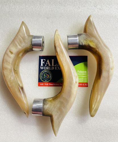 Falakworldexport Air Natural Sheep Horns, Color : White Unique