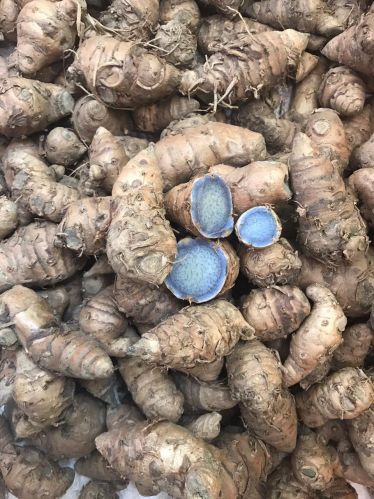 Natural black turmeric, Packaging Size : 5Kg, 10Kg, 25Kg, 50Kg