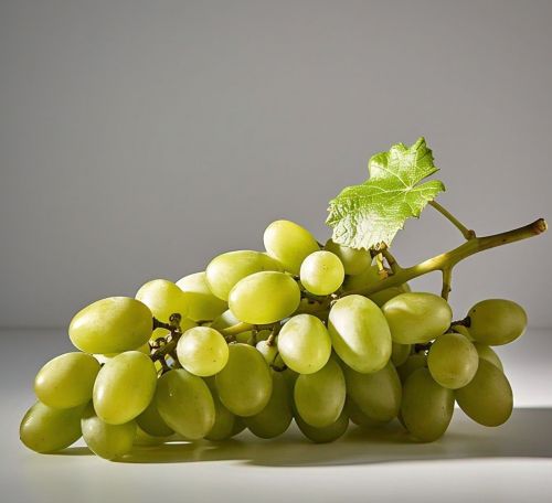 Natural Green Grapes, Shape : Oval, Taste : Sweet