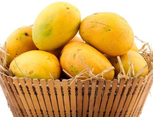 Rich Queen Kesar Mango